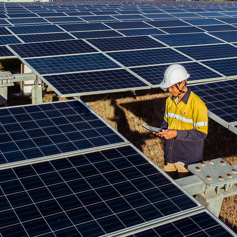 Learn about the Global Race for Net-Zero
